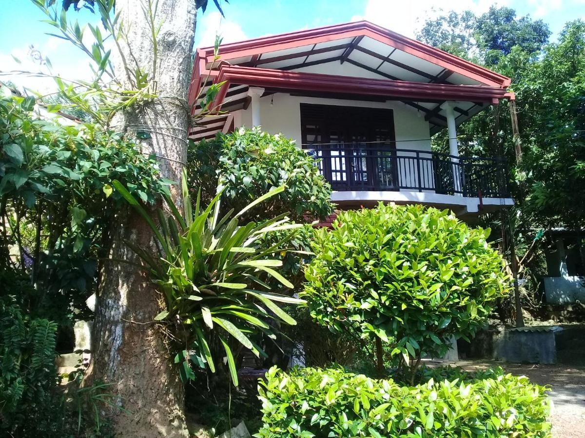 Paddy Field Villa Midigama East Εξωτερικό φωτογραφία